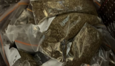 Multiple people in hospital after synthetic cannabis use in Auckland