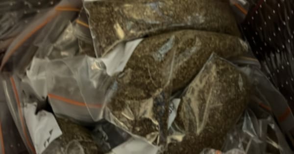 Multiple people in hospital after synthetic cannabis use in Auckland