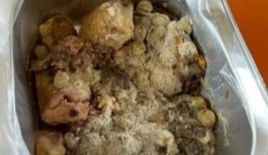 School warns parents after receiving 'mouldy and liquefied' lunches