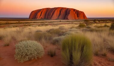 Australia’s Theme Parks Are Thriving with New Attractions and Investments