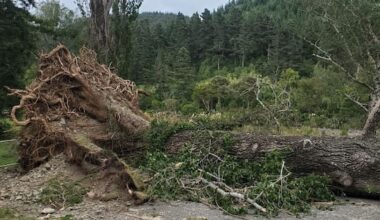 Widespread power outages across NZ as storms move south