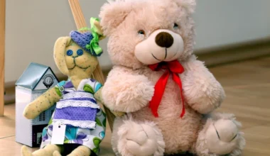 Collecting Signatures for the Abolition of Guardianship Authorities in Latvia