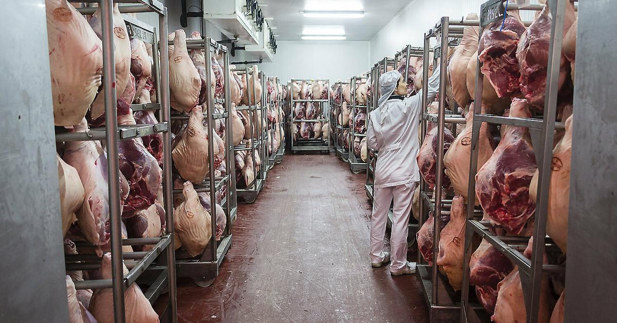 China announces tariffs of up to 19.8% on EU pork