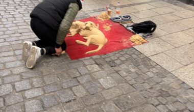 Is this real art or just a performance? What do you think?