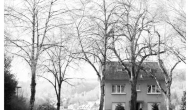 Monday afternoon in B/W