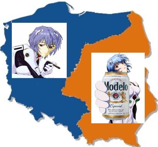 The true divide in Poland