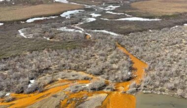 Arctic Rivers Are Turning Orange as the Ground Thaws Beneath Them. A report describes an Arctic that is warmer and wetter than at any point in the modern record—and increasingly unpredictable.