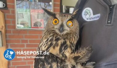 Schuhubert hinter Gittern – wie ein Uhu aus Bohmte Weihnachten bei der Polizei verbrachte