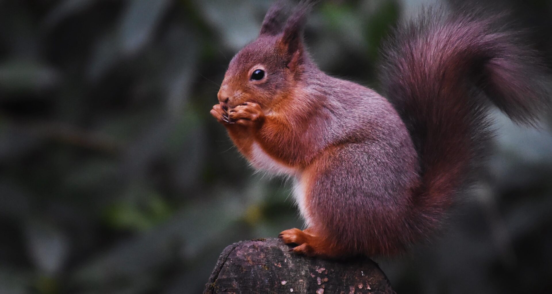 Scotlands best scenery 🏴󠁧󠁢󠁳󠁣󠁴󠁿