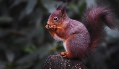 Scotlands best scenery 🏴󠁧󠁢󠁳󠁣󠁴󠁿