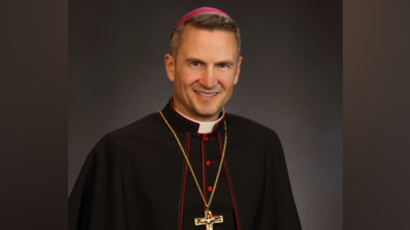 Pope Leo appoints pro-migrant archbishop of New York, signaling Church’s more robust approach to Trump