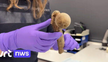 Botresten op strand in Nederland blijken van man uit België die al 7 jaar vermist was