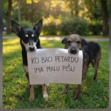 KDOR POKA PETARDE IMA MAJHEN LULČEK