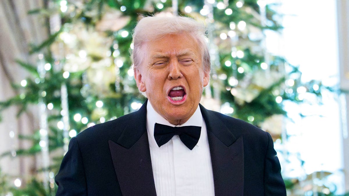 US-Sicherheitsstrategie: Trump warnt vor Niedergang Europas und schliesst Nato-Erweiterung aus