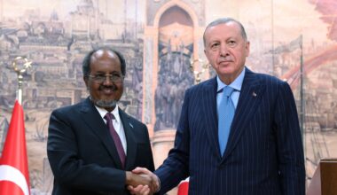 Turkiye’s Erdogan calls Israel’s Somaliland recognition ‘unacceptable’ | Politics News