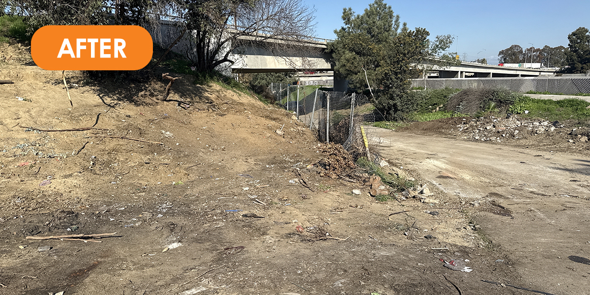 Photo of Long Beach encampment after cleanup