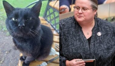 savo foteliuką jis turi ne tik pas mus