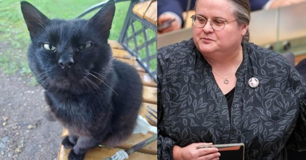 savo foteliuką jis turi ne tik pas mus