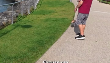 you make fun of Barry, but Barry will never judge you