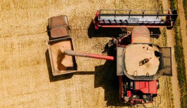 Al Dahra renunță la comerțul cu cereale din România de anul viitor