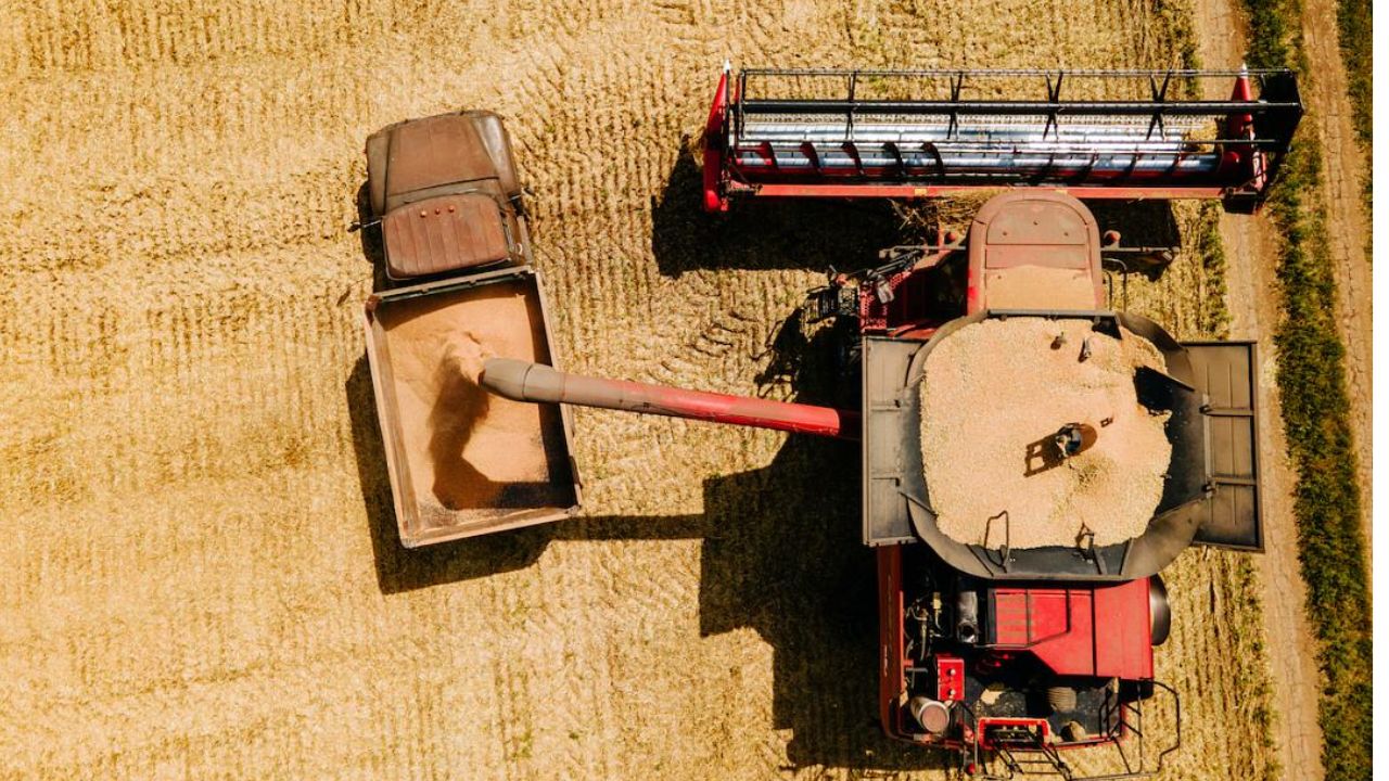 Al Dahra renunță la comerțul cu cereale din România de anul viitor