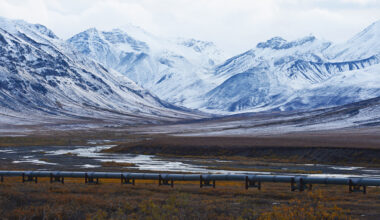 Trump Signs Bill Opening Alaska National Petroleum Reserve To Drilling