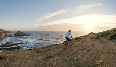 New Alentejo funding approval - The Portugal News