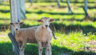 Energías Renovables