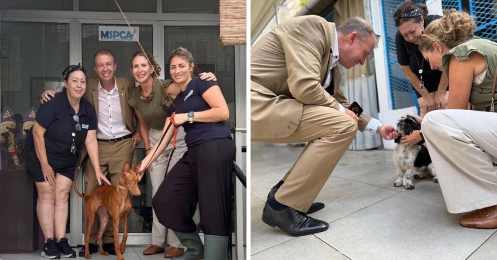 Article Featured Image