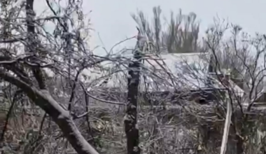 Volunteer Denis Christophe "Holländer" shot down an attacking Russian FPV drone while evacuating Ukrainian civilians on the eastern front. Published 21.12.2025