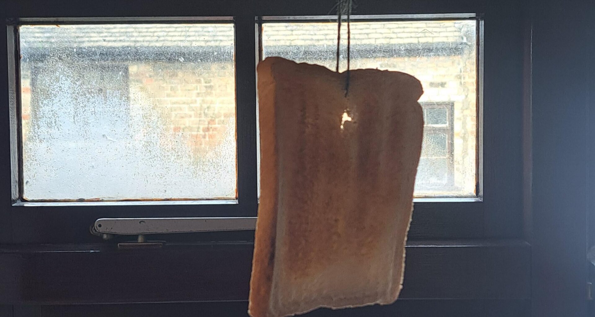 Settle a debate: Is my yearly mistletoast funny?