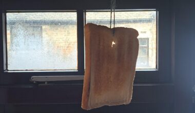 Settle a debate: Is my yearly mistletoast funny?