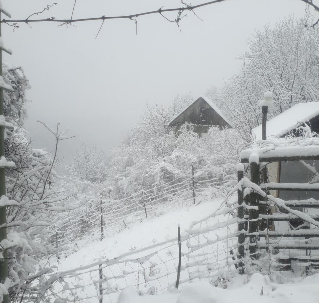 Tako je izgleda moja peš pot do trgovine malo prej 😅