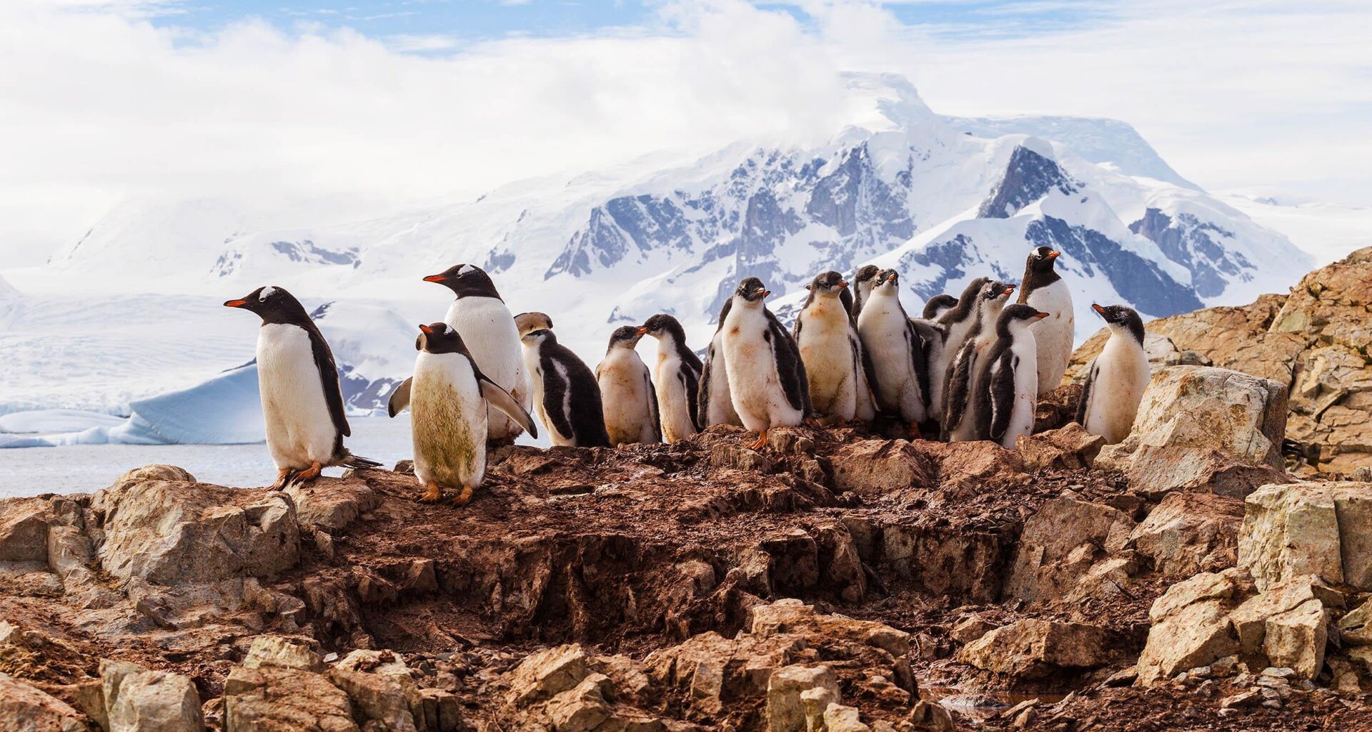 Scientists warn: We are witnessing multiple irreversible changes in Antarctica