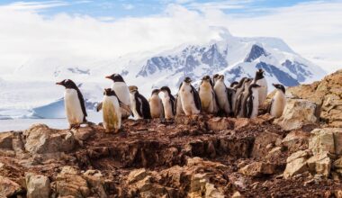 Scientists warn: We are witnessing multiple irreversible changes in Antarctica