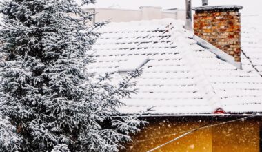 Малко сняг за Коледа ви пращам