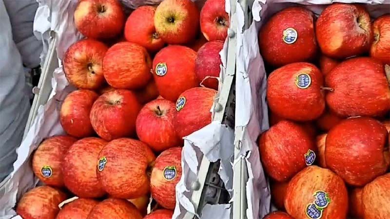 Apple growers warn low-duty New Zealand imports could hit local produce