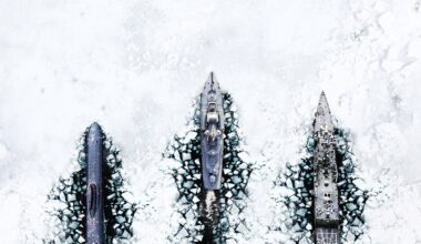 China, Russia and the race for the Arctic