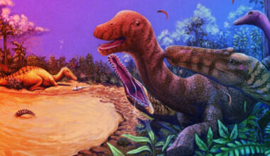 Az óriás, ami egy pickupnál is nagyobb: új dinoszaurusz Thaiföldön