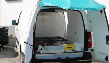 O que aconteceu às carrinhas que vendiam peixe e andavam pelas freguesias a buzinar?