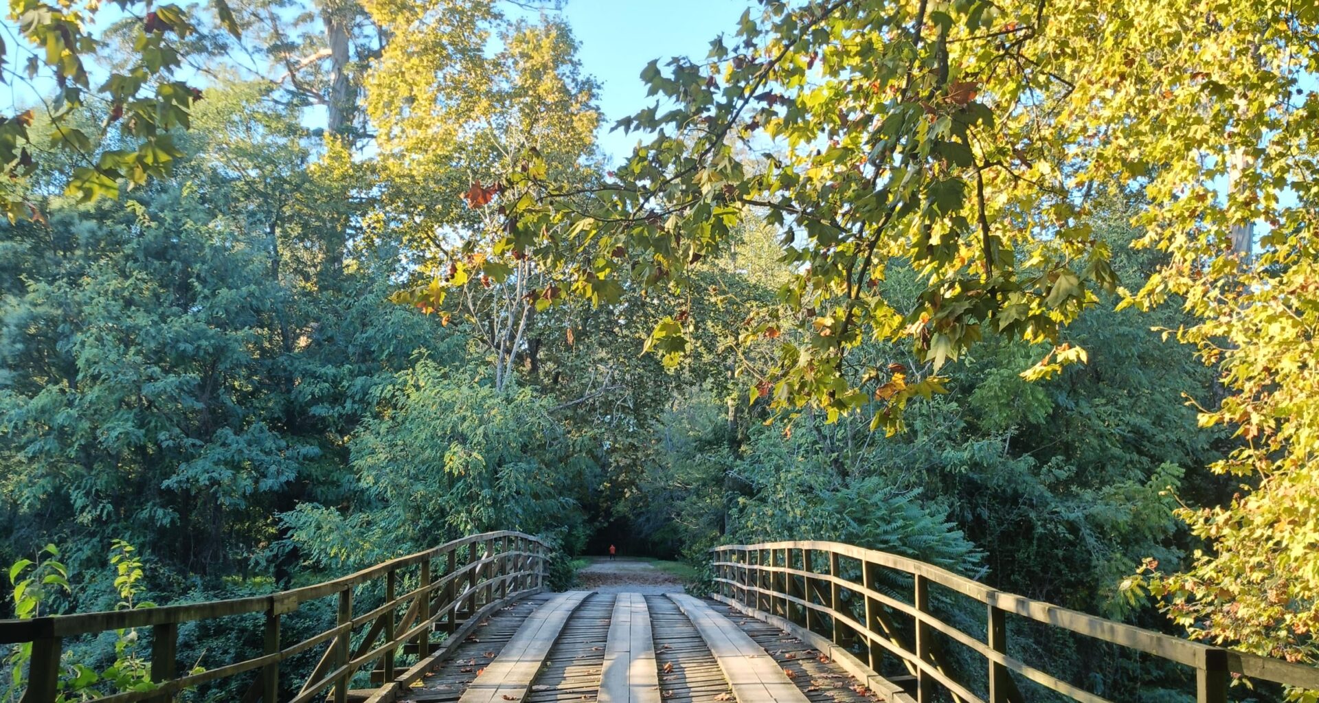 Mata Nacional do Choupal, Coimbra