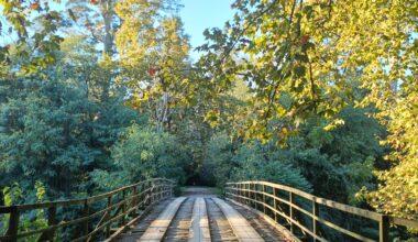 Mata Nacional do Choupal, Coimbra