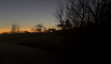 Moselle from Mertert: bridge and the ferry