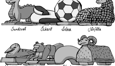 Svenska betongsuggor