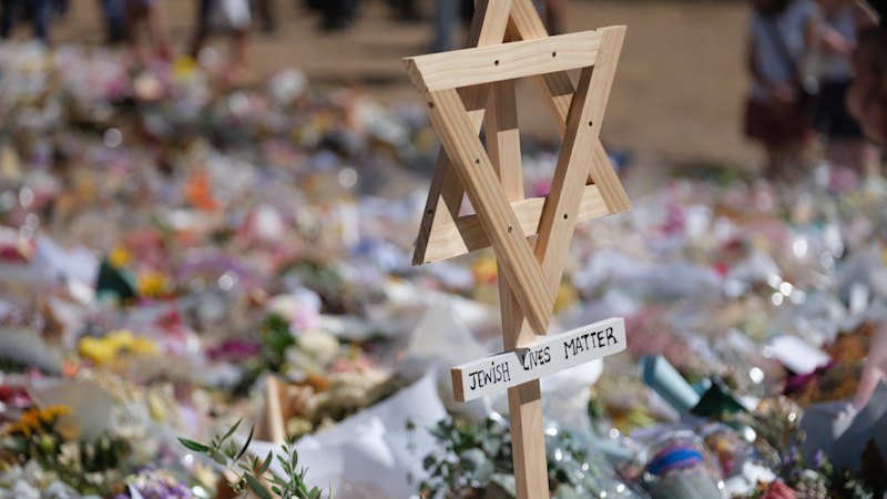 Albanese government slammed for review failing to name antisemitism