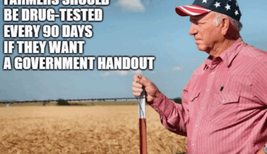 Maybe They Should Get a J O B