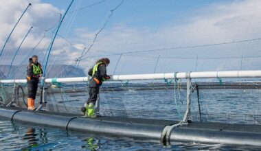 Iceland proposes new legal framework for aquaculture
