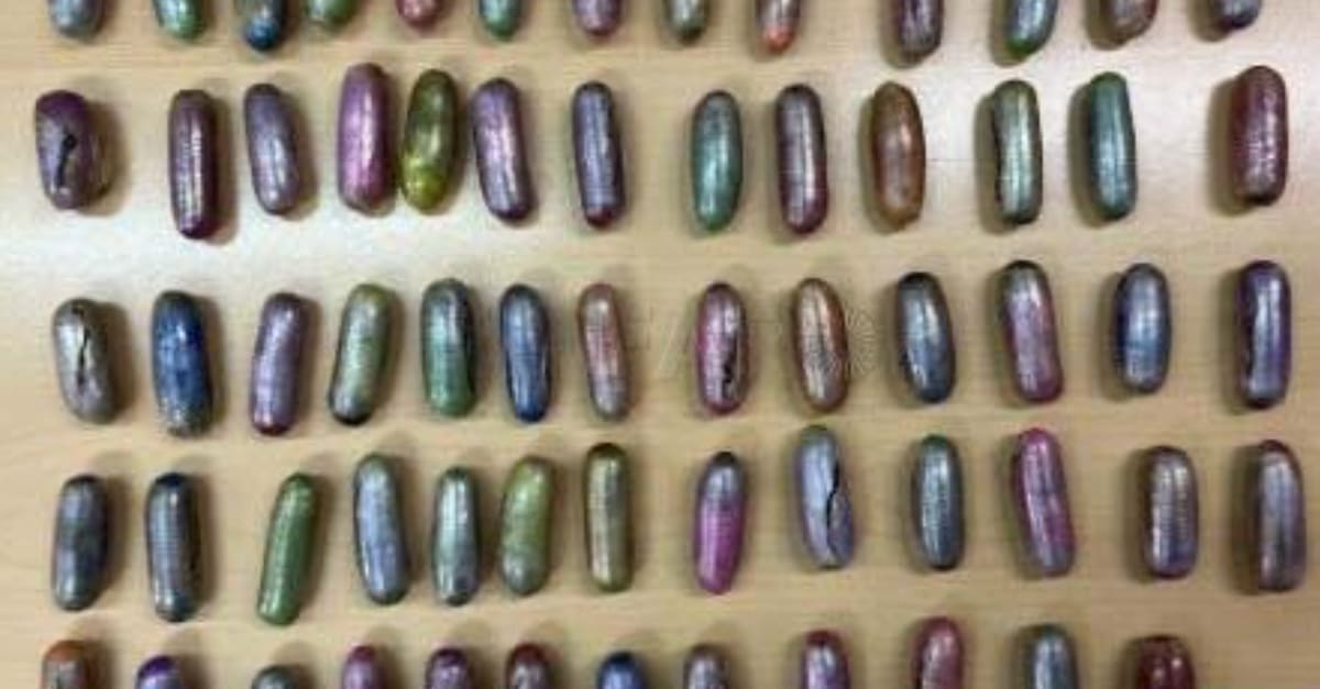 Svensk man gripen med hasch i magen