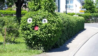 Mein Papa lebt seine Kreativität aus