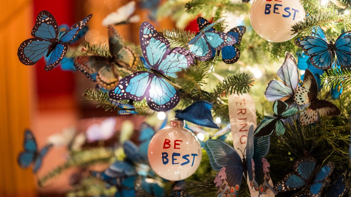 White House staff and volunteers decorate for Christmas, Sunday, November 30, 2025. (Official White House Photo by Andrea Hanks)